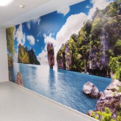 Dale vida y personalidad a tus paredes con nuestros murales decorativos personalizados. Ya sea para hogares, oficinas, locales comerciales o cualquier otro espacio, te ofrecemos soluciones creativas y de alta calidad para transformar tus ambientes con diseños únicos que reflejen tu estilo y visión. Características de Nuestros Murales Decorativos: Diseño Totalmente Personalizado: Trabajamos contigo desde la concepción hasta la impresión final para crear un mural que se ajuste perfectamente a tus gustos, espacio y necesidades. Puedes proporcionarnos tu propia imagen, elegir entre nuestra amplia biblioteca de diseños o colaborar con nuestro equipo creativo. Impresión de Alta Resolución: Colores vibrantes, detalles nítidos y una calidad de imagen excepcional que realzan la belleza del diseño en gran formato. Materiales de Alta Calidad y Durabilidad: Vinil Adhesivo Texturizado: Ofrece un acabado elegante y duradero, fácil de limpiar y resistente al desgaste. Ideal para interiores. Vinil Adhesivo Removible: Perfecto para alquileres o cambios frecuentes de decoración, se retira sin dañar la pared. Papel Tapiz Personalizado: Impresión sobre papel tapiz de alta calidad con diferentes texturas para un acabado tradicional y sofisticado. Lona Canvas: Para un aspecto artístico similar a una pintura sobre lienzo. Tamaños Personalizados: Creamos murales en las dimensiones exactas que necesitas para cubrir una pared completa o una sección específica. Acabados Profesionales: Mate: Acabado sin brillo que reduce los reflejos y ofrece una apariencia suave. Brillante: Realza los colores y proporciona un aspecto llamativo. Texturizado: Añade profundidad y un toque táctil al mural. Fácil Instalación (para vinilos): Muchos de nuestros murales de vinil son autoadhesivos y fáciles de aplicar. Ofrecemos instrucciones detalladas y también podemos coordinar servicios de instalación profesional. Aplicaciones Comunes de Murales Decorativos: Hogares: Dormitorios, salas de estar, cocinas, habitaciones infantiles. Oficinas: Salas de reuniones, áreas de descanso, recepciones. Locales Comerciales: Tiendas, restaurantes, bares, gimnasios, salones de belleza. Espacios Educativos: Aulas, bibliotecas, pasillos. Centros de Salud: Salas de espera, consultorios. Opciones de Personalización: Tus Propias Imágenes y Diseños: Haz realidad tus ideas y recuerdos en gran formato. Selección de Nuestra Biblioteca: Amplia variedad de paisajes, arte abstracto, ilustraciones, patrones y más. Colaboración con Nuestros Diseñadores: Creamos un diseño único basado en tus preferencias. Adaptación de Colores y Escala: Ajustamos los diseños existentes para que se adapten a tu espacio y paleta de colores. Valor Agregado: Transformación Impactante del Espacio: Cambia por completo la apariencia de una habitación. Personalización Única: Refleja tu estilo y personalidad. Añade Profundidad y Dimensión: Crea puntos focales visualmente interesantes. Fácil de Limpiar y Mantener: Los materiales son resistentes y fáciles de cuidar. Solución Creativa y Original: Diferénciate con una decoración personalizada.