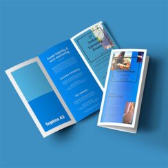 Dípticos, trípticos, folletos, diseño de folletos, impresión de folletos, dípticos informativos, trípticos informativos, dípticos publicitarios, trípticos publicitarios, dípticos promocionales, trípticos promocionales, tamaño carta, tamaño oficio, plegado, laminado, barniz UV, diseño gráfico, marketing impreso, folletos personalizados.